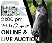 Stephex Auctions