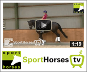 Sporthorses TV